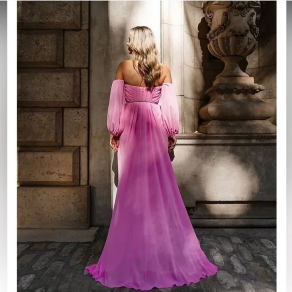 Antonio Melani  Capsule Stacy Chiffon Dress size 4 - Picture 2 of 12